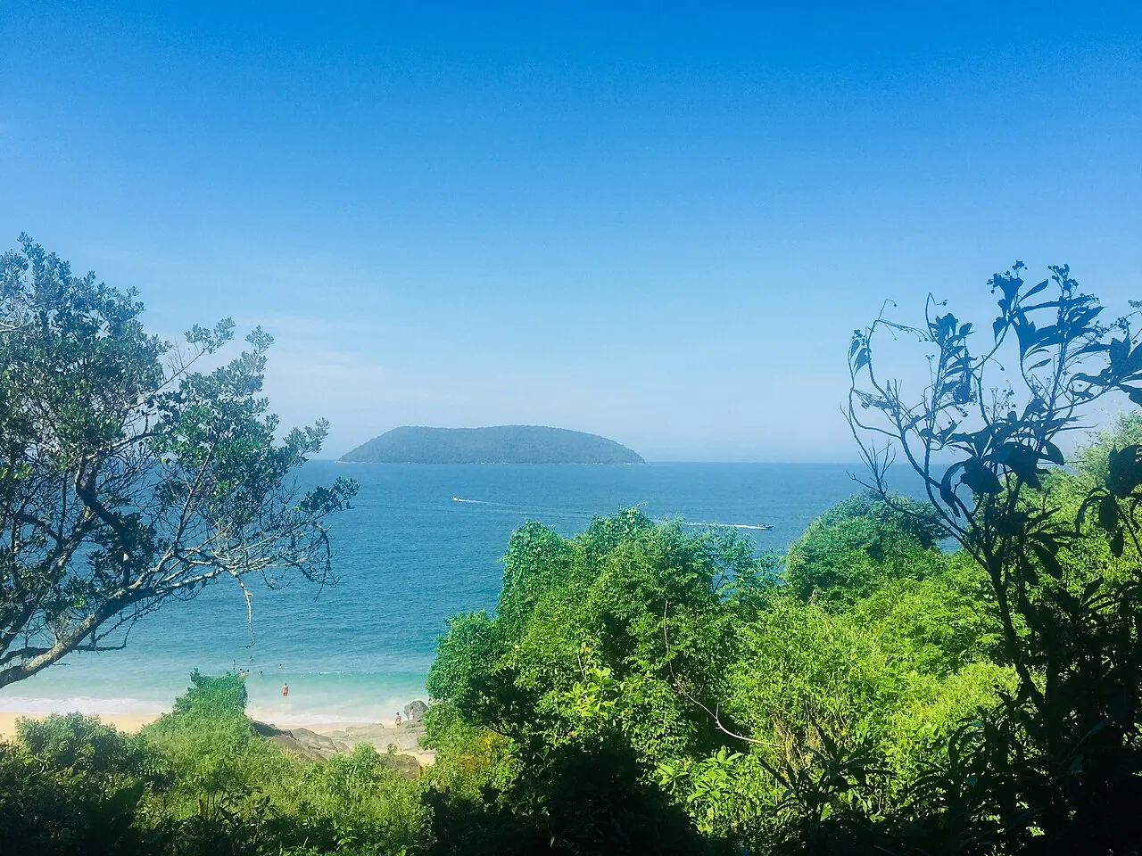 Praia de Maranduba, em Ubatuba, vista entre a vegetação
