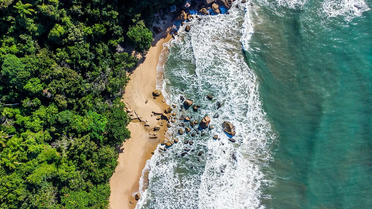 Vista aérea de uma praia de Ubatuba cercada por mata atlântica